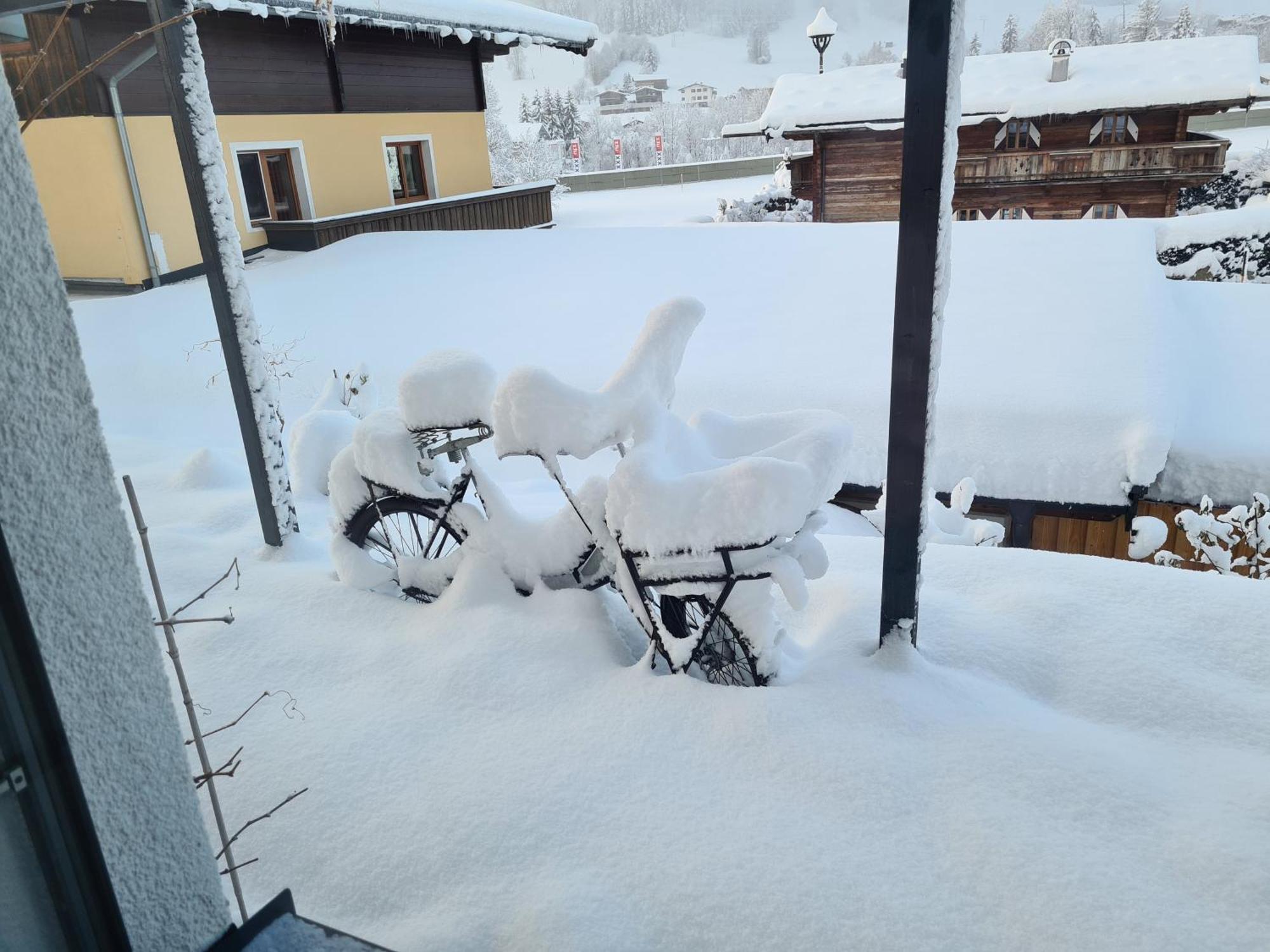 Going Easy Apartment Going am Wilden Kaiser Bagian luar foto