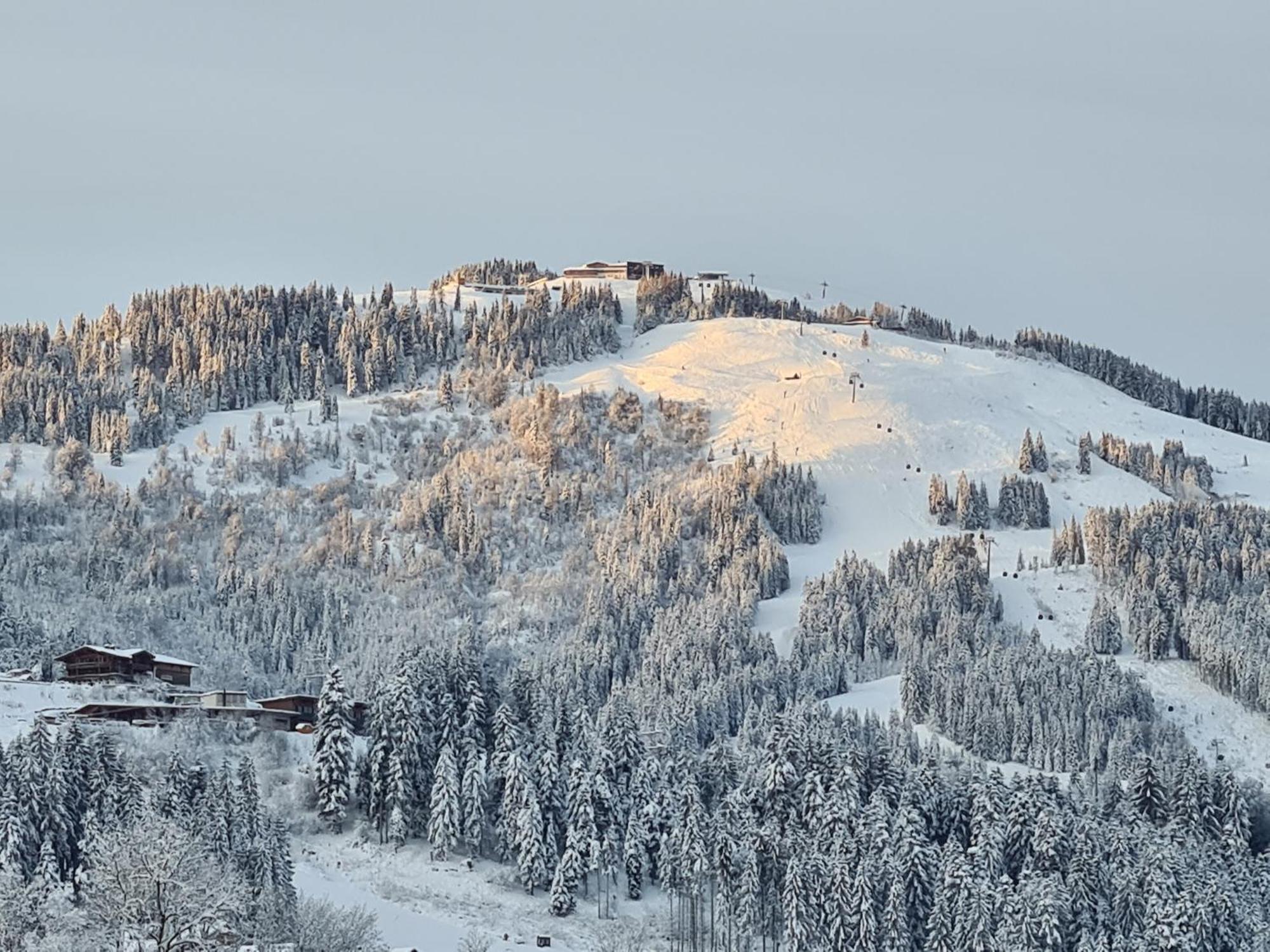 Going Easy Apartment Going am Wilden Kaiser Bagian luar foto